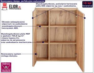 Podwieszana szafka łazienkowa z lustrem – Lunios 5X Dąb, funkcjonalna, 60 cm, dąb craft złoty