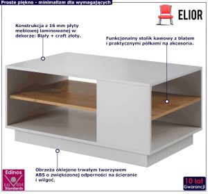 Stolik kawowy dwupoziomowy R7-F67 – minimalistyczny design, biały mat + craft złoty, 100x60x45,5 cm, laminowana płyta