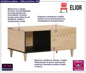Drewniany stolik kawowy z półką – Nolen 19X