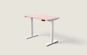 Desktronic – Biurko HomePro – Biały / Zgaszony róż / 120×60 cm