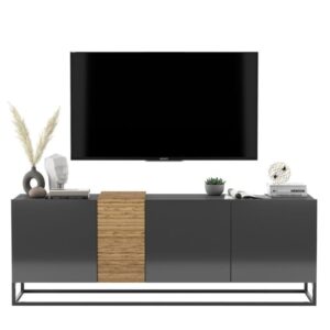 Szafka RTV, stojąca, loft, TERRA, 160x38x57 cm, dąb artisan, grafit, połysk
