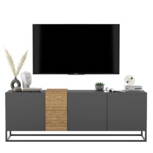 Szafka RTV, stojąca, loft, TERRA, 160x38x57 cm, dąb artisan, grafit, mat