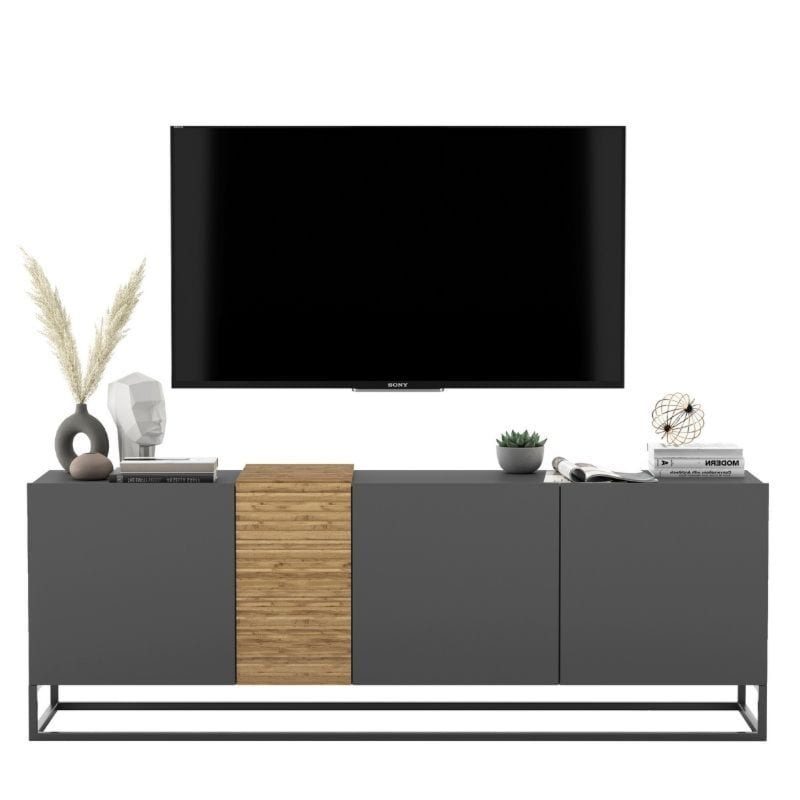 Szafka RTV, stojąca, loft, TERRA, 160x38x57 cm, dąb artisan, grafit, mat