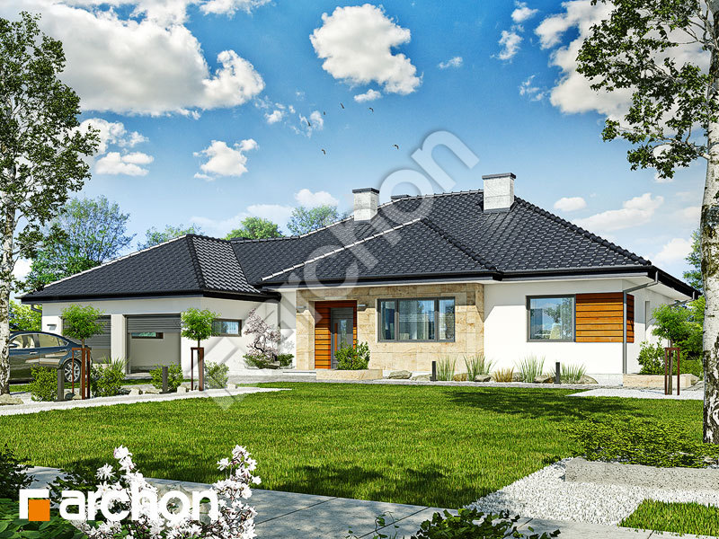 Dom w akebiach 2