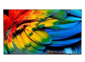Philips 75HFL6214U (75″) 4K Ultra HD Antracyt